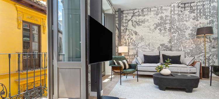 Spectacular apartment in Granada center. San Matías III图片