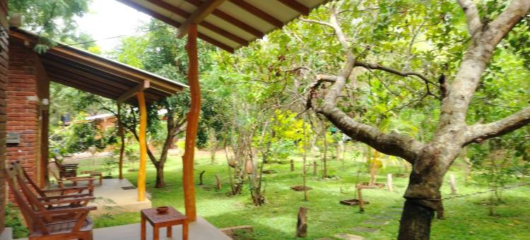 Wilpattu野生别墅(Wilpattu Wild Villa)图片