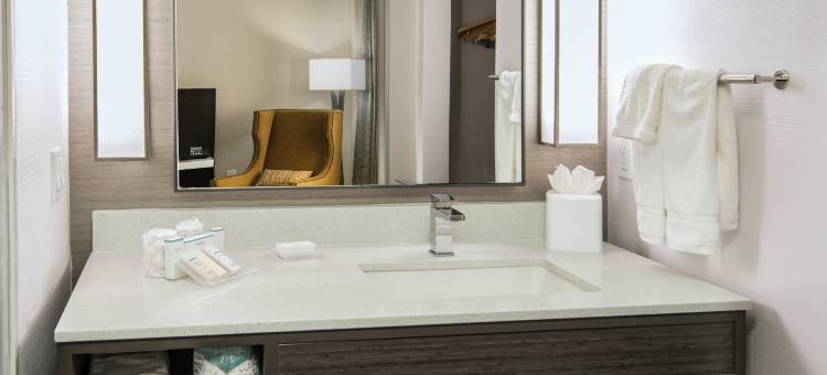 拉斯科琳娜希尔顿花园酒店(Hilton Garden Inn Las Colinas)图片