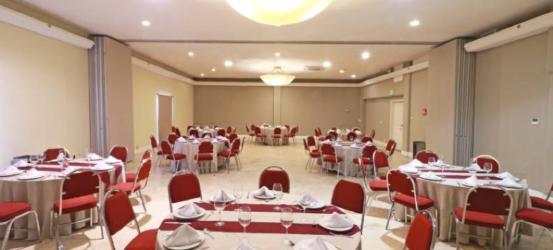 假日酒店及套房瓜达拉哈拉历史中心(Holiday Inn & Suites GUADALAJARA CENTRO HISTORICO by IHG)图片