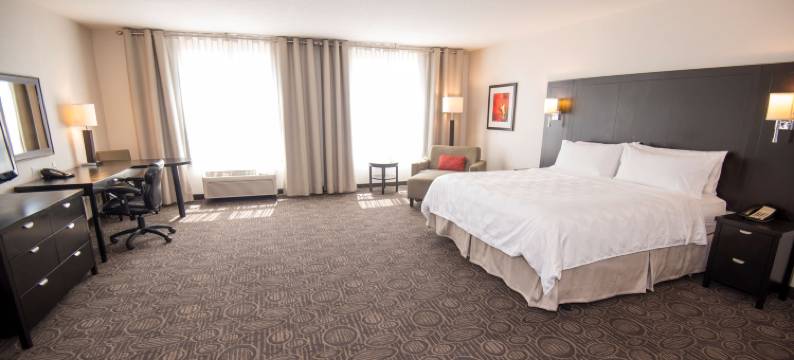 Holiday Inn & Suites 马鹿南(Holiday Inn & Suites RED DEER SOUTH by IHG)图片