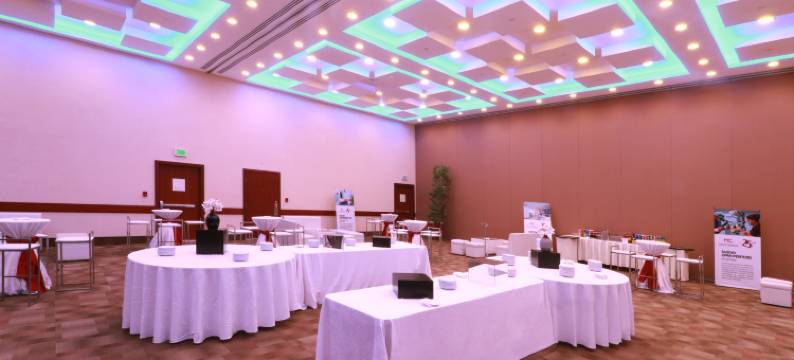 假日酒店-莱昂市长广场(Holiday Inn & Suites LEON PLAZA MAYOR by IHG)图片