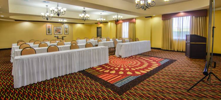 特雷尔智选假日套房酒店(Holiday Inn Express & Suites Terrell)图片