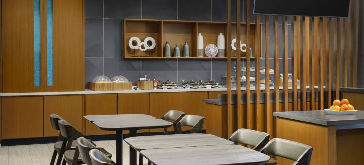 费城西切斯特埃克东万豪SpringHill Suites酒店(SpringHill Suites Philadelphia West Chester/Exton)图片