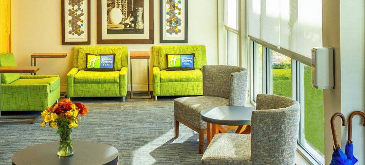 智选假日套房酒店-托莱多西(Holiday Inn Express & Suites Toledo West)图片