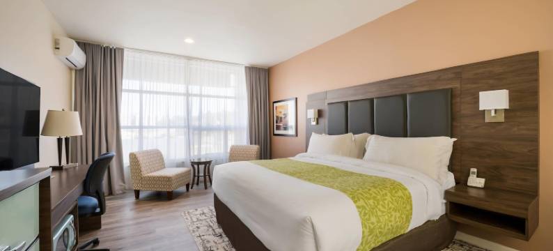 埃弗里特海滨加德纳港旅馆 - 阿桑德连锁酒店(Inn at Port Gardner-Everett Waterfront, Ascend Hotel Collection)图片