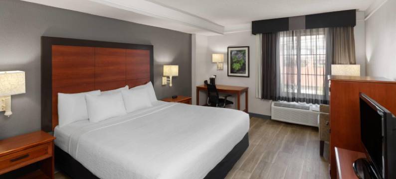 圣安东尼奥机场拉昆塔温德姆套房酒店(La Quinta Inn & Suites by Wyndham San Antonio Airport)图片