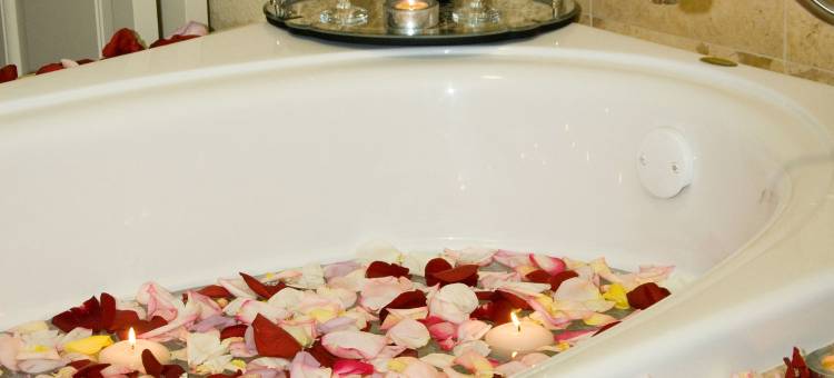 萨克拉门托河畔威斯汀酒店及水疗中心(The Westin Sacramento Riverfront Hotel & Spa)图片