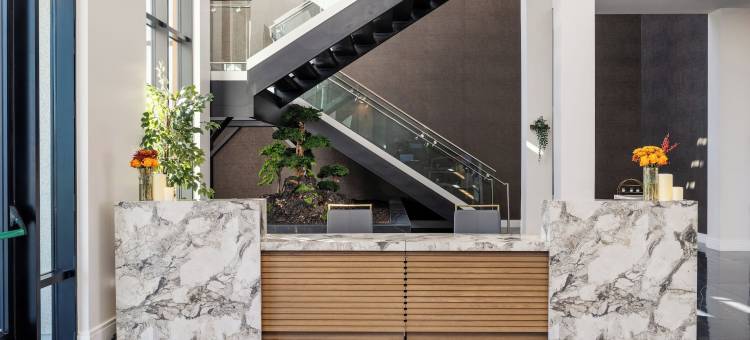 拉斯维加斯奥托诺姆斯酒店(Otonomus Hotel Las Vegas)图片