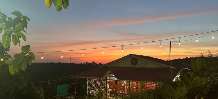 阿方索芒果郡(The Alphonso Mango County)图片