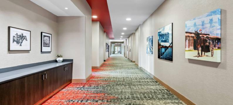 奔跑艾斯温德姆商标精选酒店(Running Aces Hotel & Casino Trademark Collection by Wyndham)图片