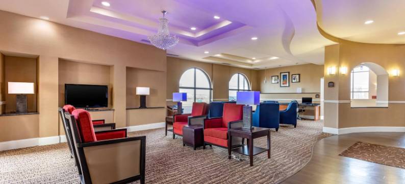 舒适套房酒店(Comfort Suites Smyrna)图片