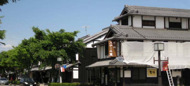 彦根舒适酒店(Comfort Hotel Hikone)图片