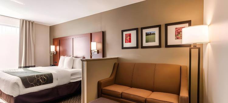 塔斯卡卢萨大学附近舒适全套房酒店(Comfort Suites Tuscaloosa Near University)图片