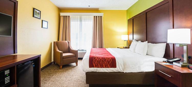 戴顿西北英格尔伍德舒适套房酒店(Comfort Inn & Suites Dayton Northwest - Englewood)图片