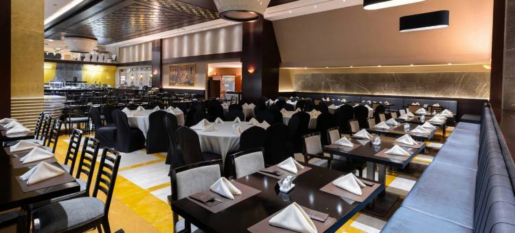 巴比伦罗塔娜酒店(Babylon Rotana Hotel)图片