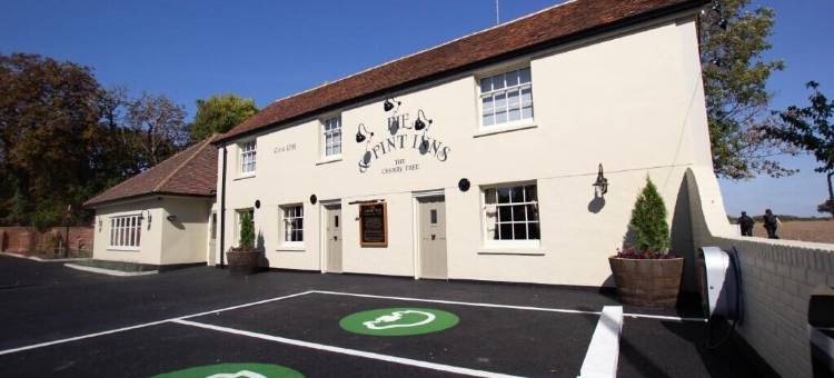 罗奇福德樱桃树酒店(The Cherry Tree Rochford)图片