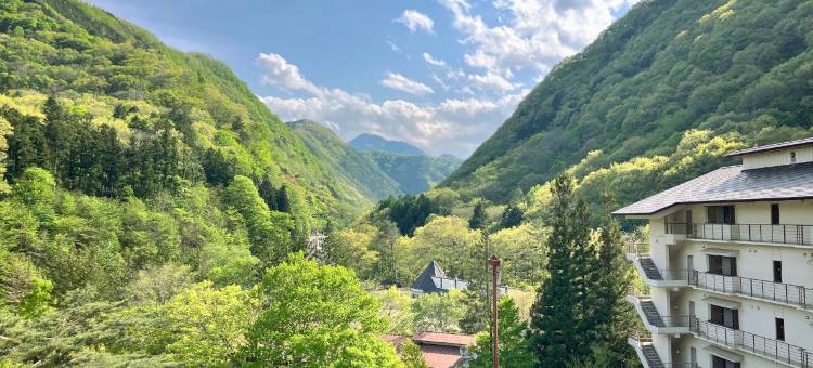 汤西川日式旅馆(Hotel Yunishigawa)图片