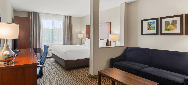 舒适套房酒店(Comfort Inn & Suites)图片