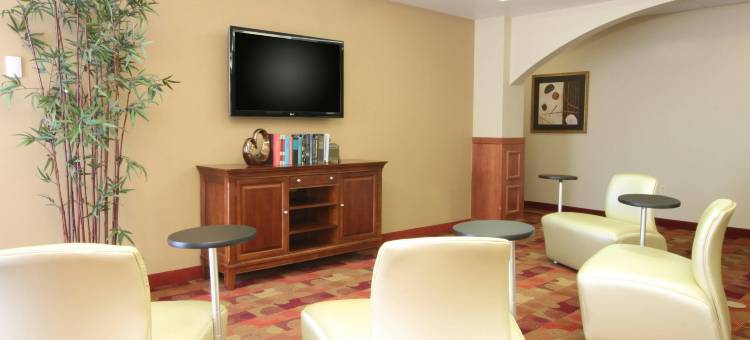 拉伯克镇万豪TownePlace酒店(TownePlace Suites by Marriott Lubbock)图片