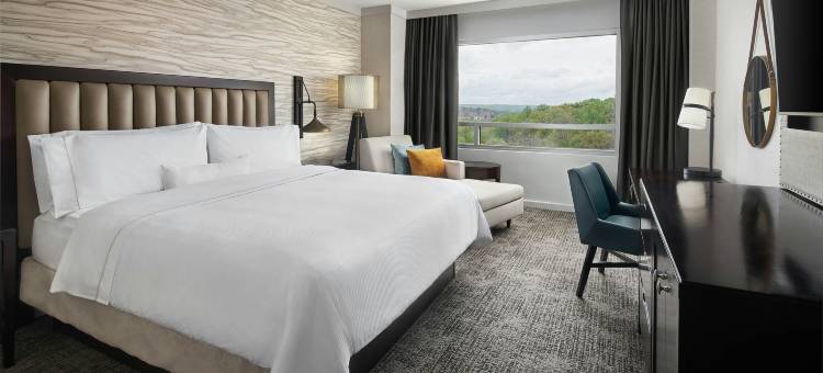 巴尔的摩华盛顿机场威斯汀酒店(The Westin Baltimore Washington Airport - BWI)图片