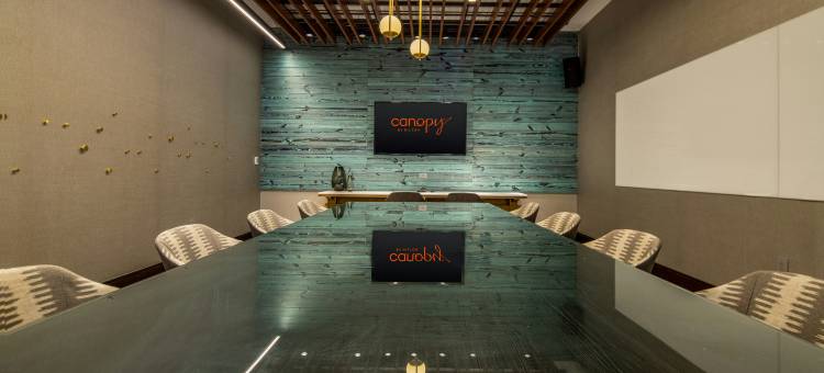 希尔顿嘉悦里孟菲斯市中心比尔街酒店(Canopy by Hilton Memphis Downtown Beale Street)图片
