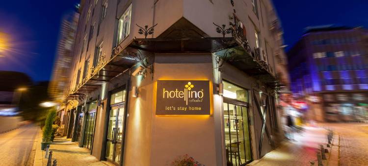 伊斯坦布尔霍泰利诺酒店(Hotellino Istanbul)图片