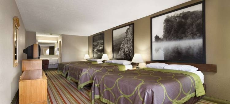 克里斯维尔-马克斯梅多斯速8酒店(Super 8 by Wyndham Fort Chiswell/Wytheville Area)图片