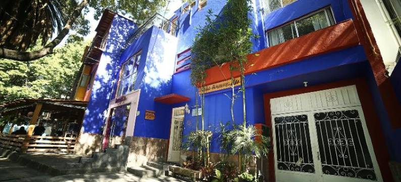 安苏雷斯之家(OYO Casa Anzures Mexico City)图片