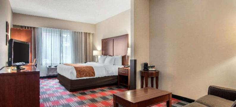 温哥华购物中心附近舒适套房酒店(Comfort Suites Near Vancouver Mall)图片