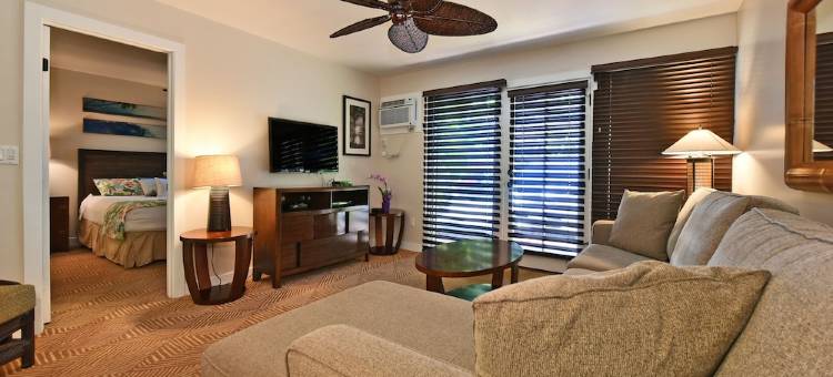 Aina Nalu A104图片