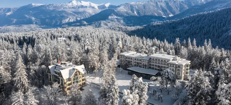 弗利姆斯瓦尔德豪斯养生度假酒店 - 傲途格精选(Waldhaus Flims Wellness Resort, Autograph Collection)图片