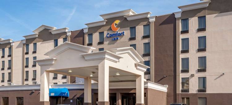 舒适酒店(Comfort Inn)图片