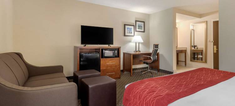 南印第安纳波利斯舒适酒店(Comfort Inn South)图片