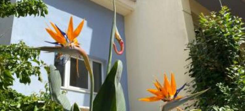 Agrinio Art Suites图片