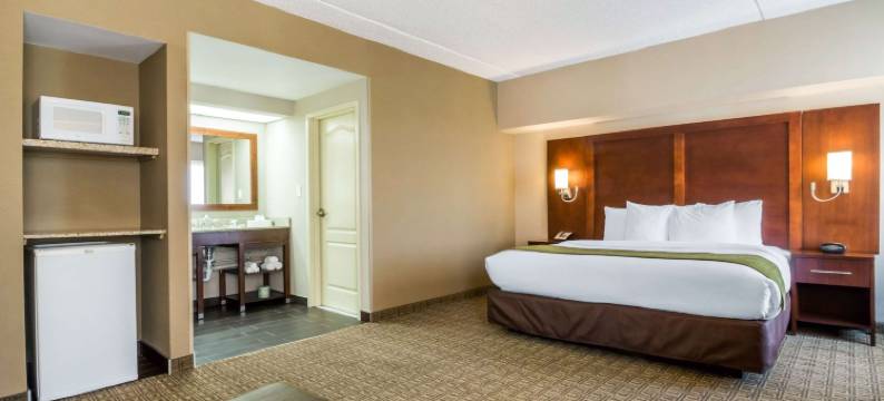 伍德布里奇舒适套房(Comfort Suites at Woodbridge)图片