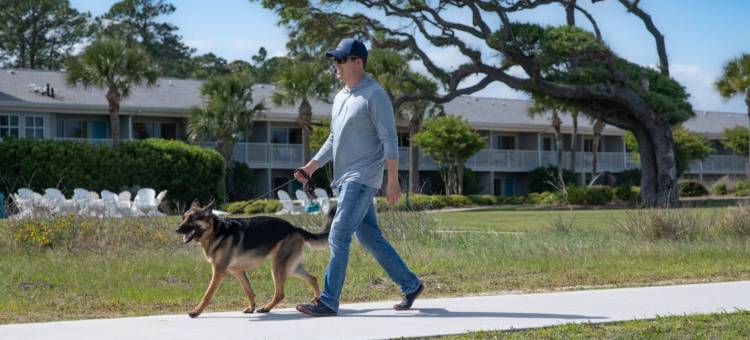 Holiday Inn Resort 吉柯岛(Holiday Inn Resort Jekyll Island)图片