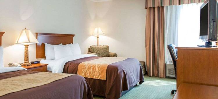 阿米什乡村附近凯艺酒店(Quality Inn & Suites Near Amish Country)图片