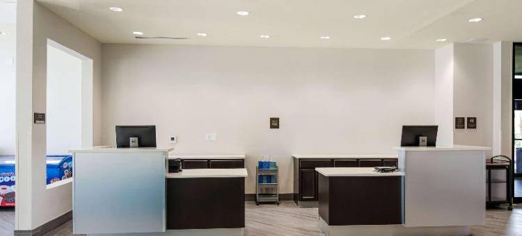 海湾海岸东海滩舒适酒店套房旅店 - 近格尔夫州立公园(Comfort Inn & Suites Gulf Shores East Beach Near Gulf State Park)图片