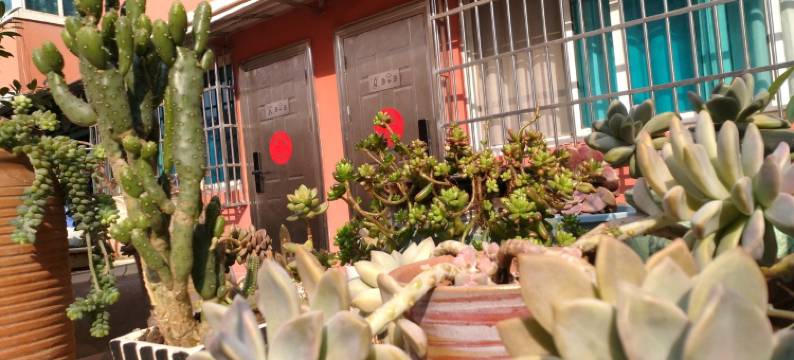 33城市民宿(北京中路1号分店)图片