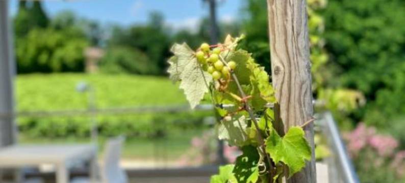 黎莱斯里贝图雷酒店(Relais le Betulle)图片