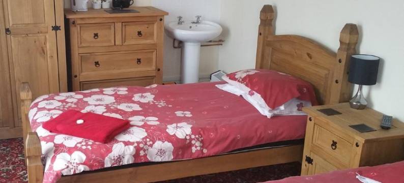 维维安阿姆斯酒店(The Vyvyan Arms Hotel)图片