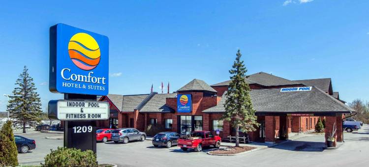 舒适套房酒店(Comfort Hotel & Suites)图片