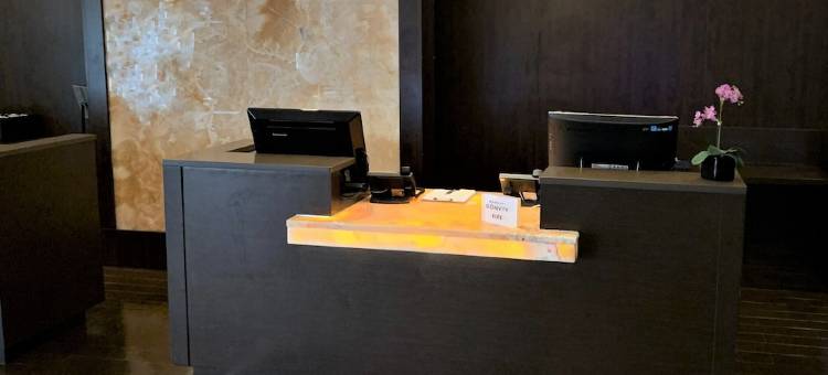 内珀维尔莱尔喜来登酒店(Sheraton Lisle Naperville Hotel)图片