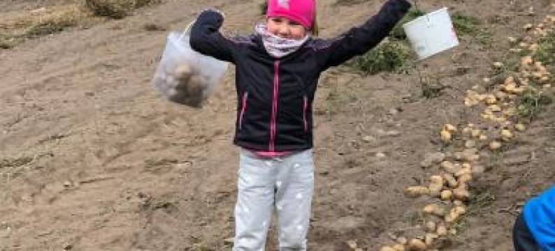 蕾娜切尔霍芬酒店(Ranacherhof)图片