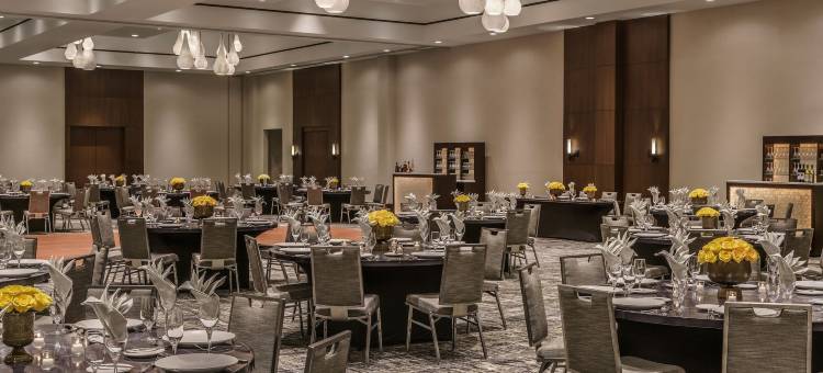 休斯顿凯悦酒店-画廊区(Hyatt Regency Houston/Galleria)图片