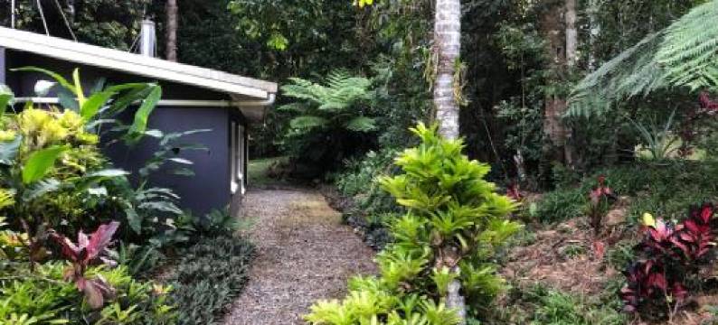 霍尼贝度假屋(Honeybee House)图片