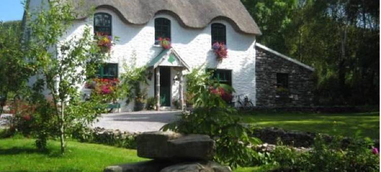 丽思可林住宿加早餐旅馆(Lissyclearig Thatch Cottage)图片