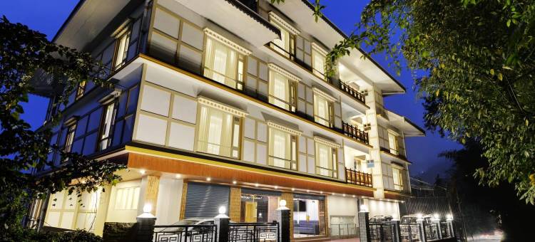 Yashshree锡金花(Yashshree Sikkim Blossom)图片