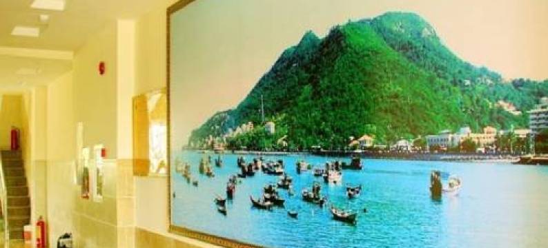 头顿奉哈酒店(Phung Ha Vung Tau Hotel)图片